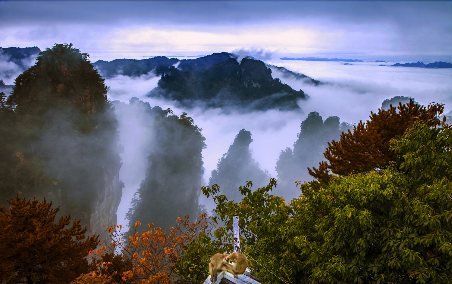 《黄石猴王山》
