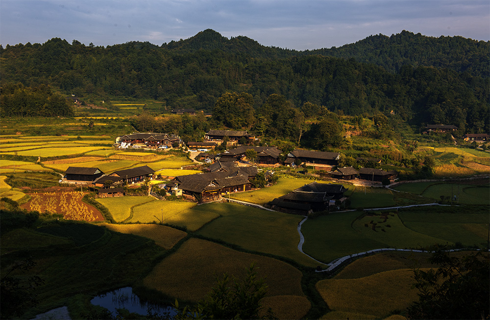 金色村庄