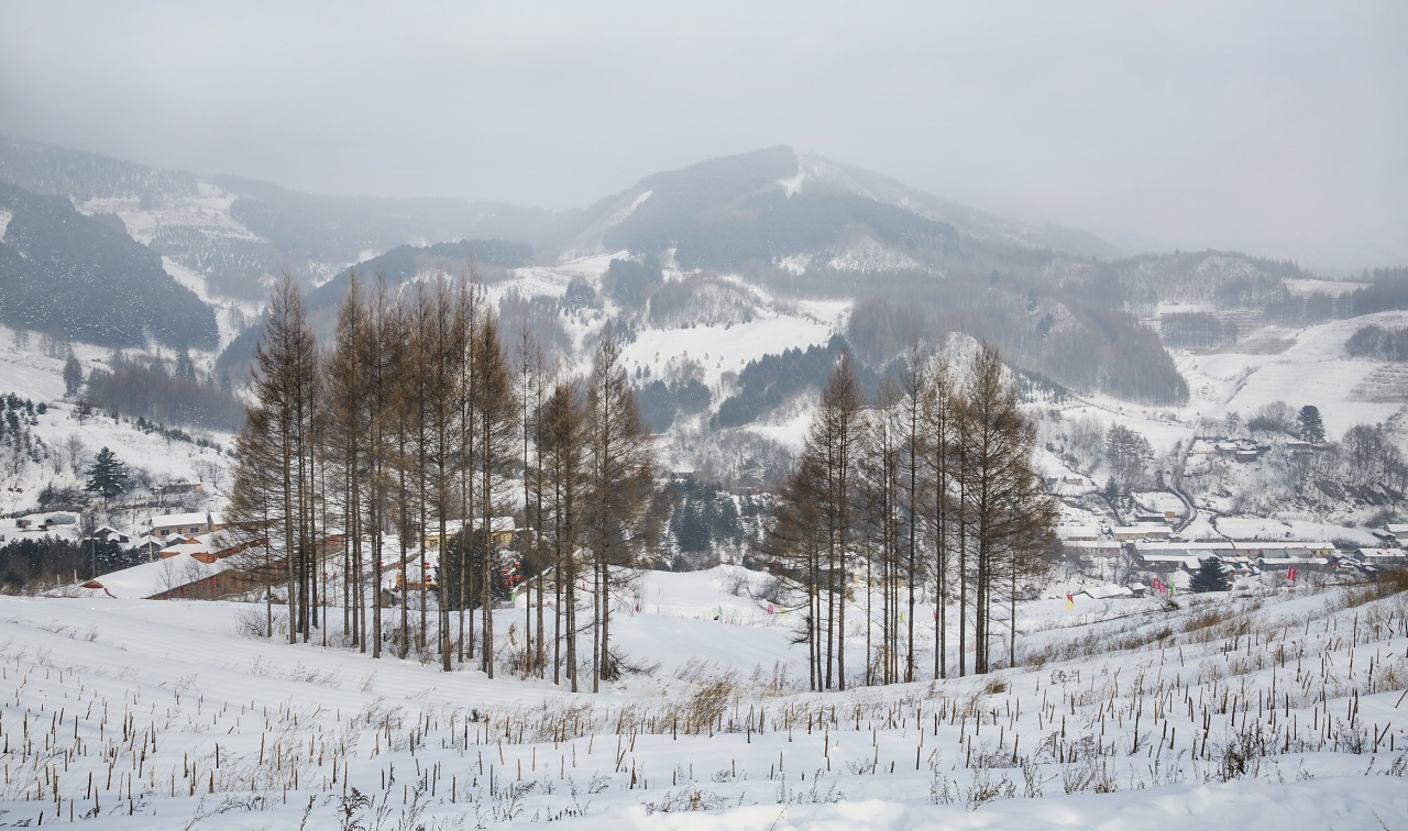 雪韵松岭