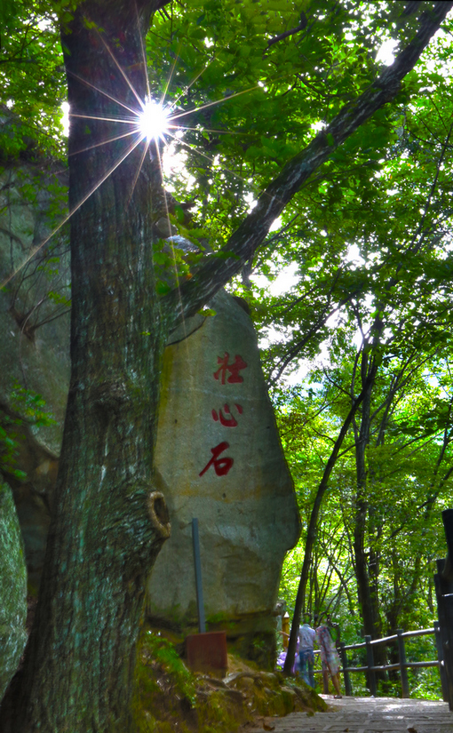 宝天曼风光
