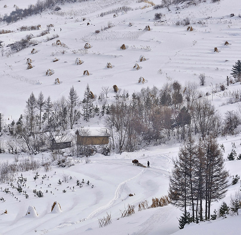 关东雪村------魅力松岭