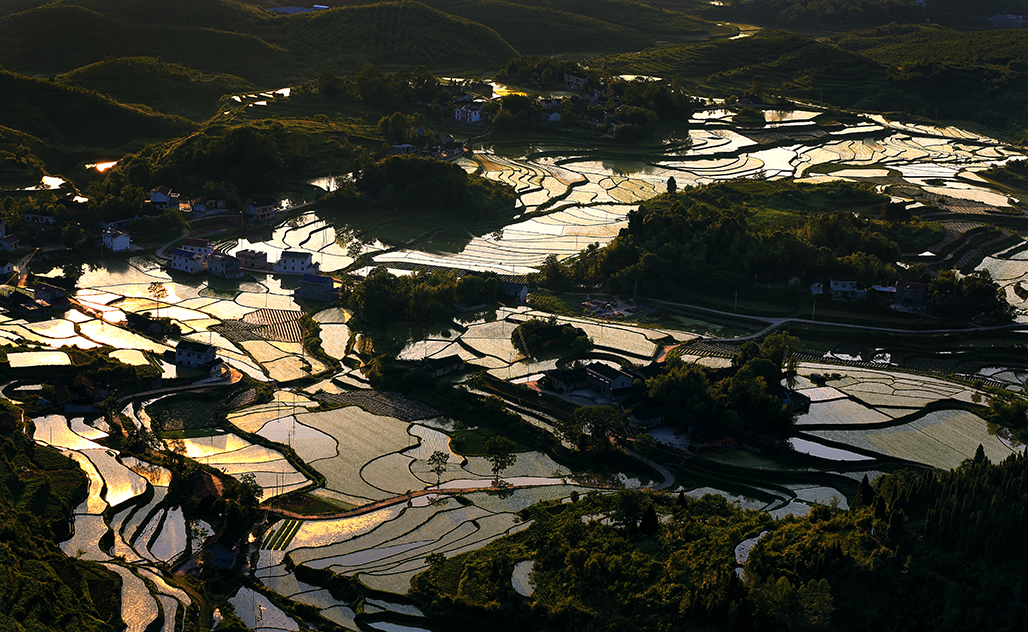 阡陌图