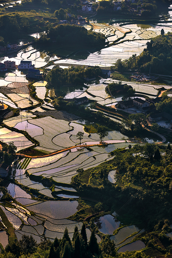 阡陌图