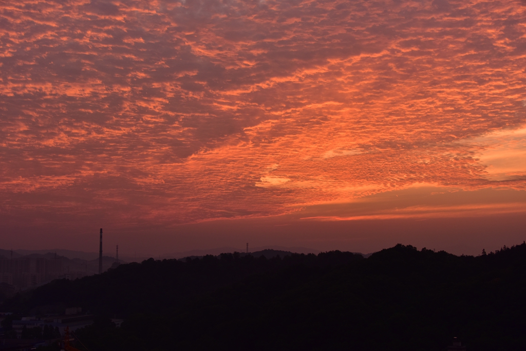 郊外晨雲