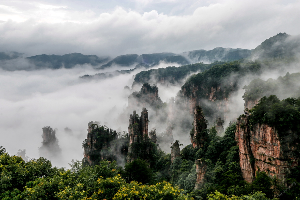 雨后天子山