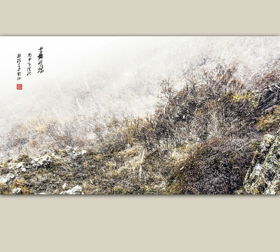 雪舞飞扬