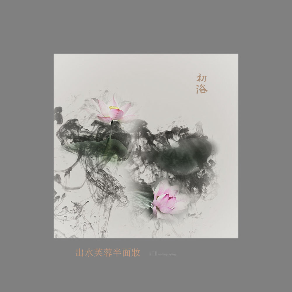墨韵荷意2