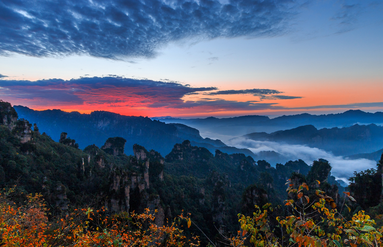 天子山初见秋色