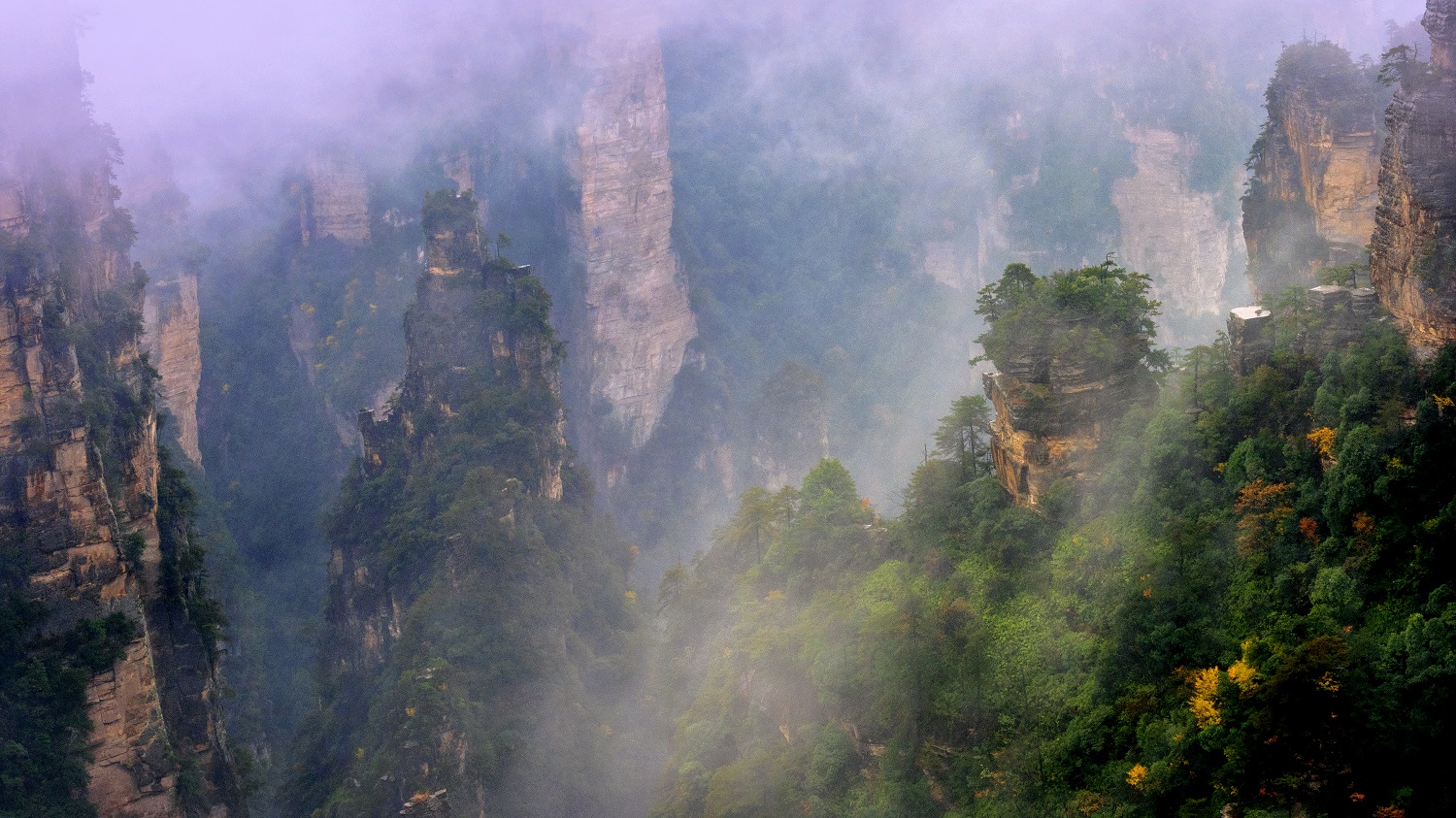 峰林秋色