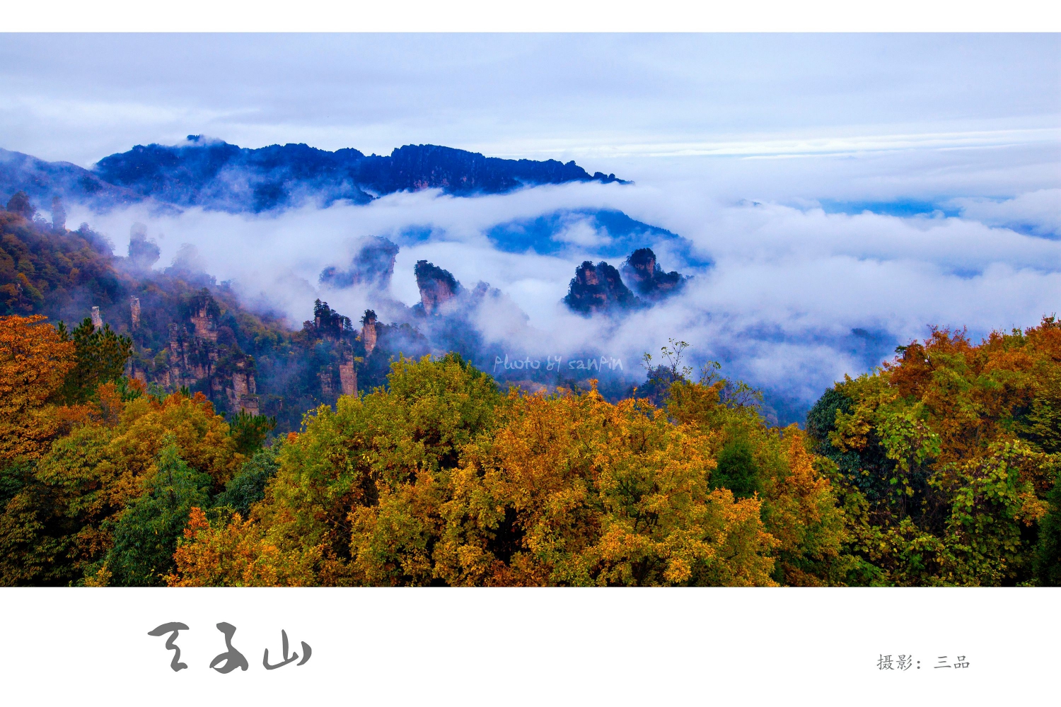 天子山秋韵