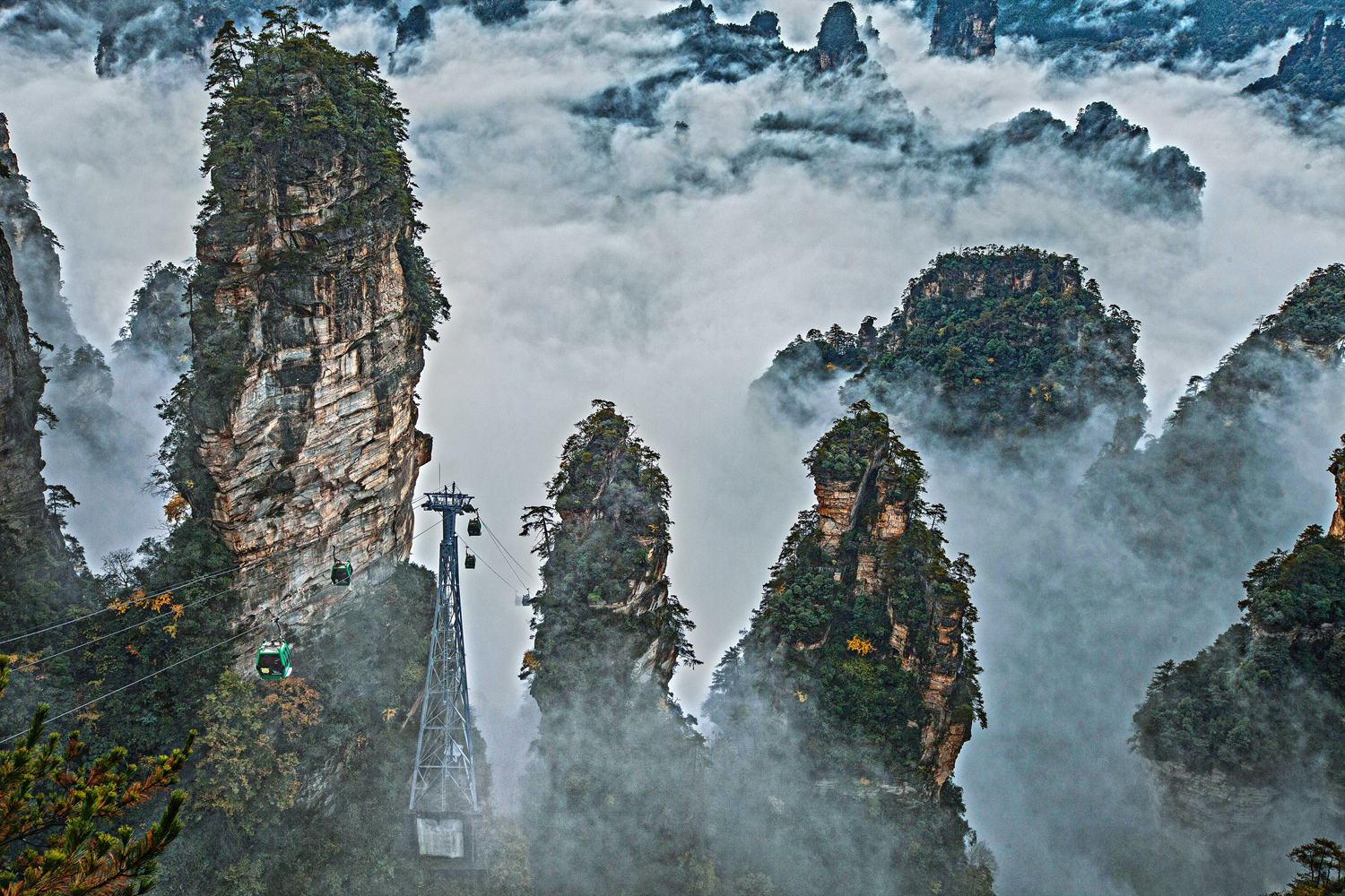 《穿越云海峰林》