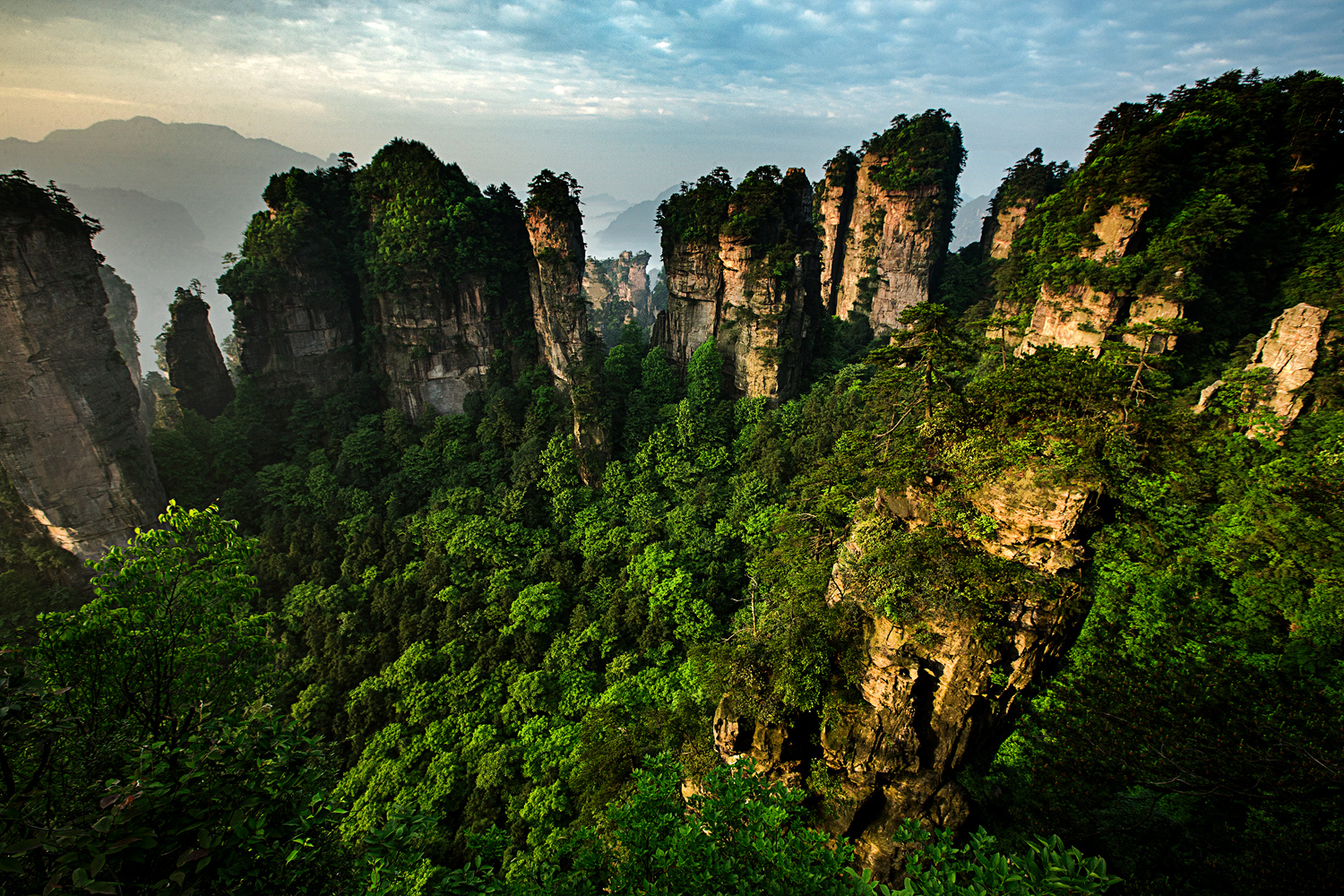 《绿色盆景》
