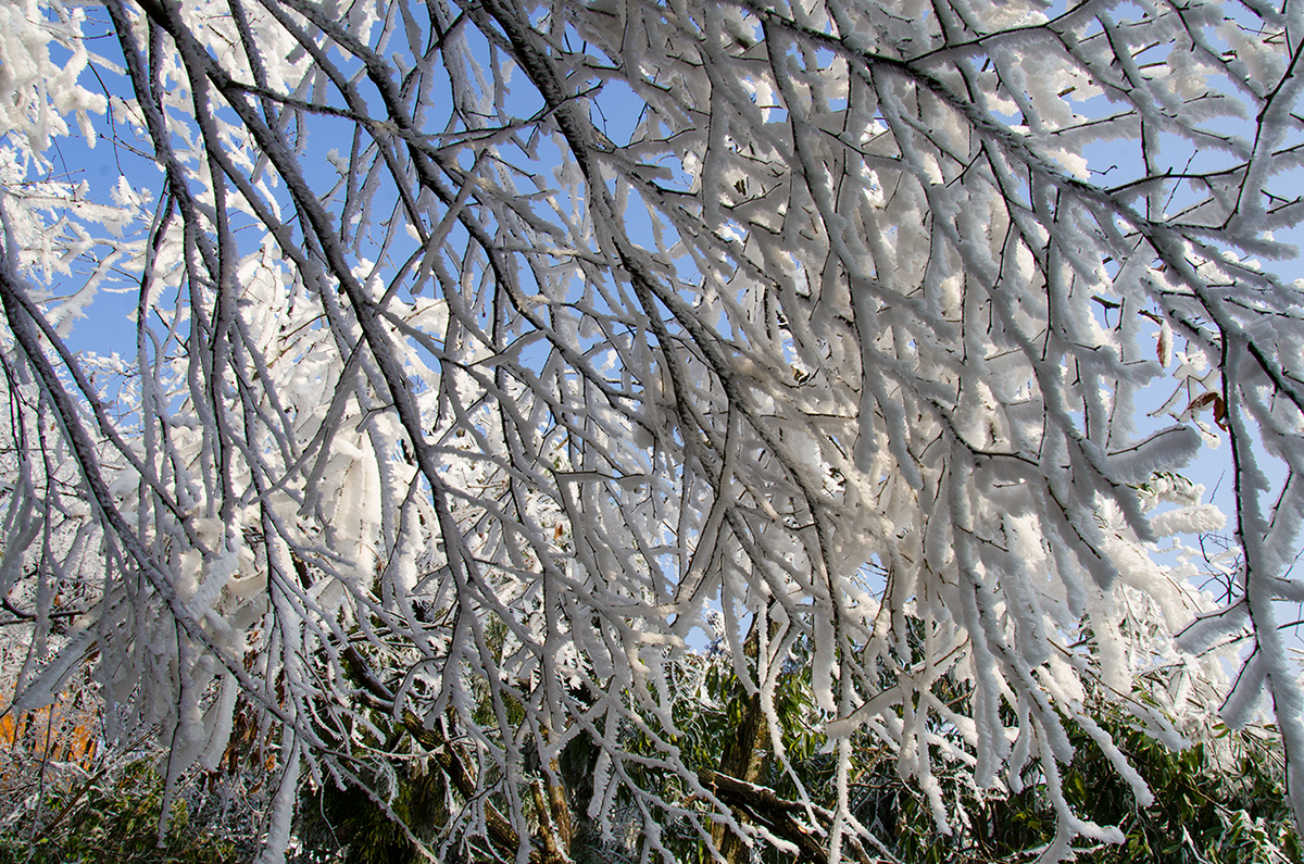 黄石寨雪（4）