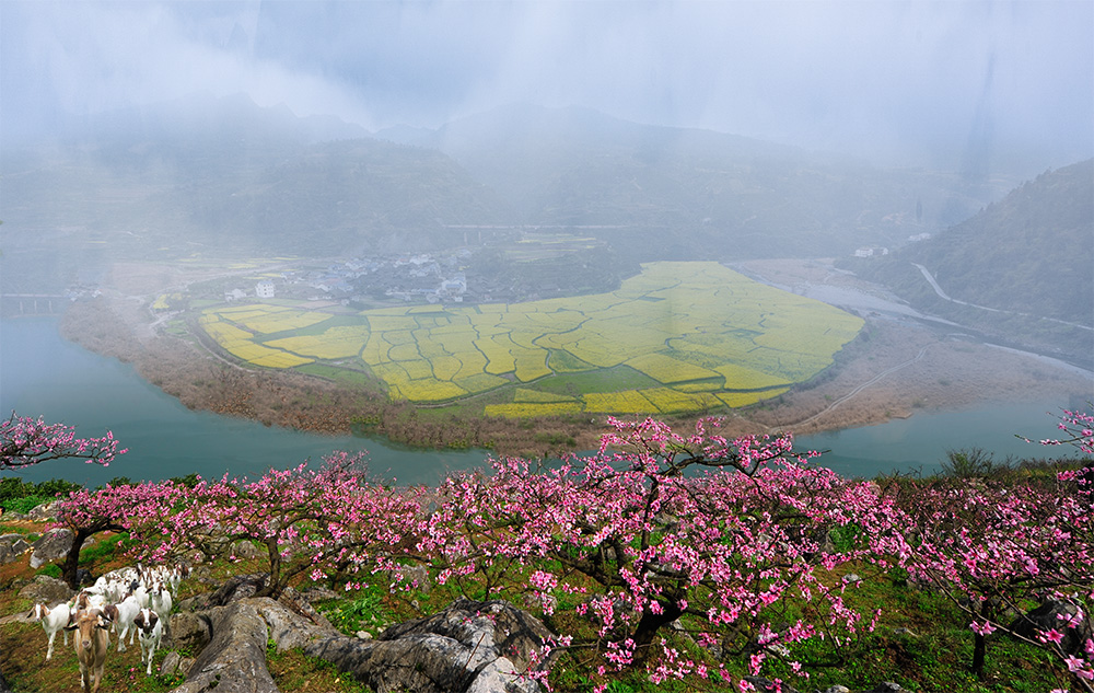 乡村春景图