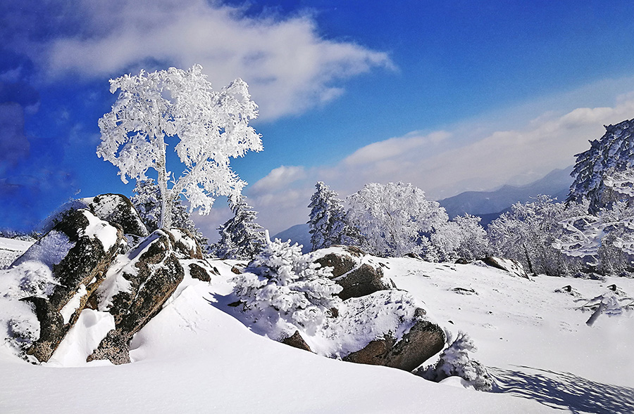 高山雾淞