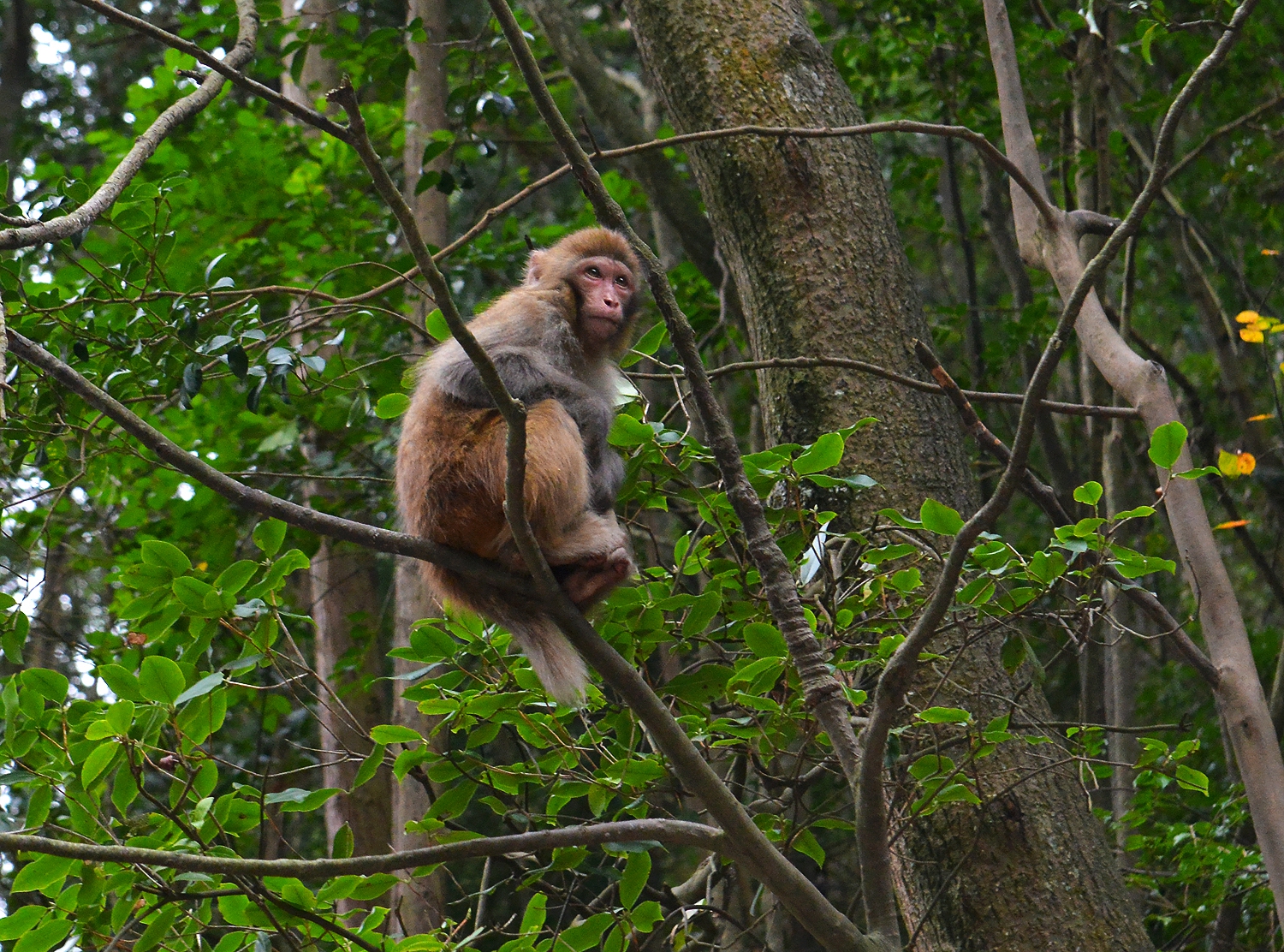 恪尽职守望“狼烟”