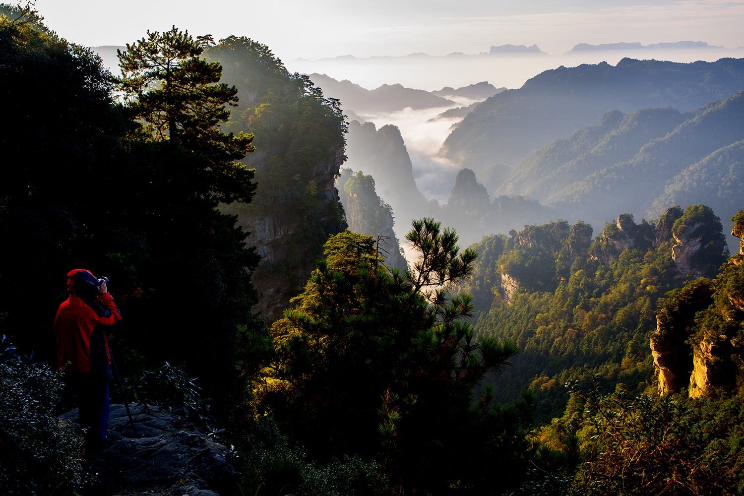 风景这边独好