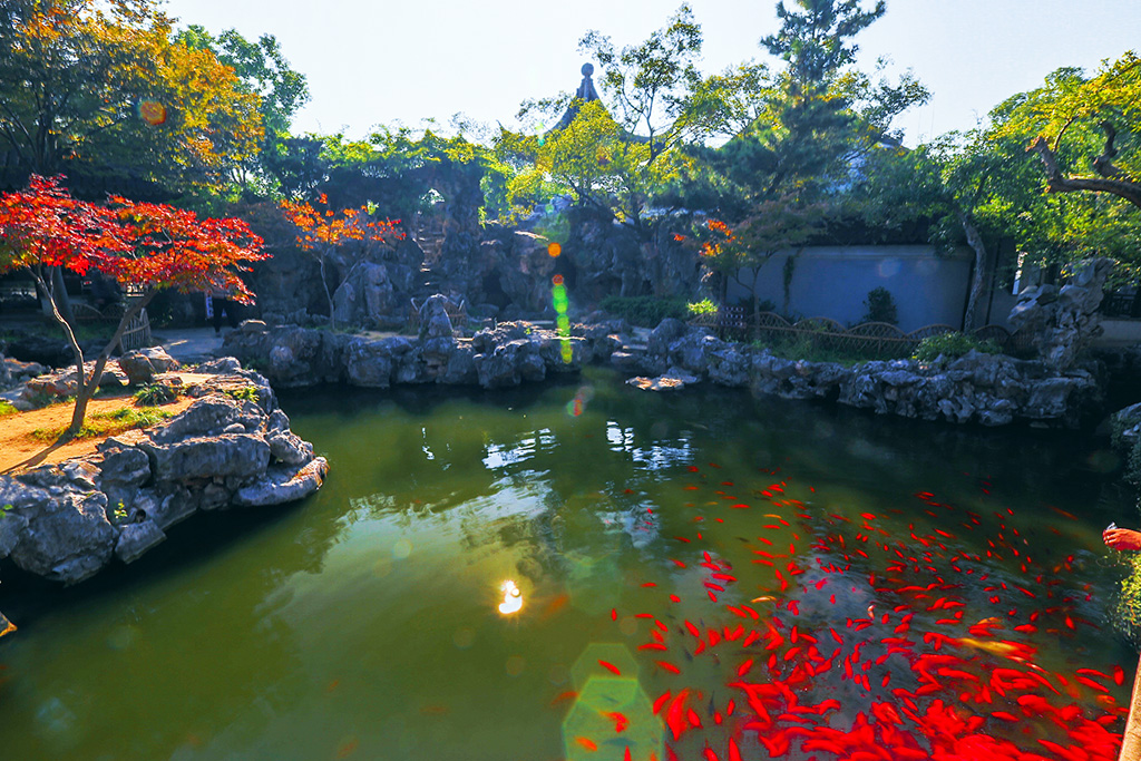 严家花园7