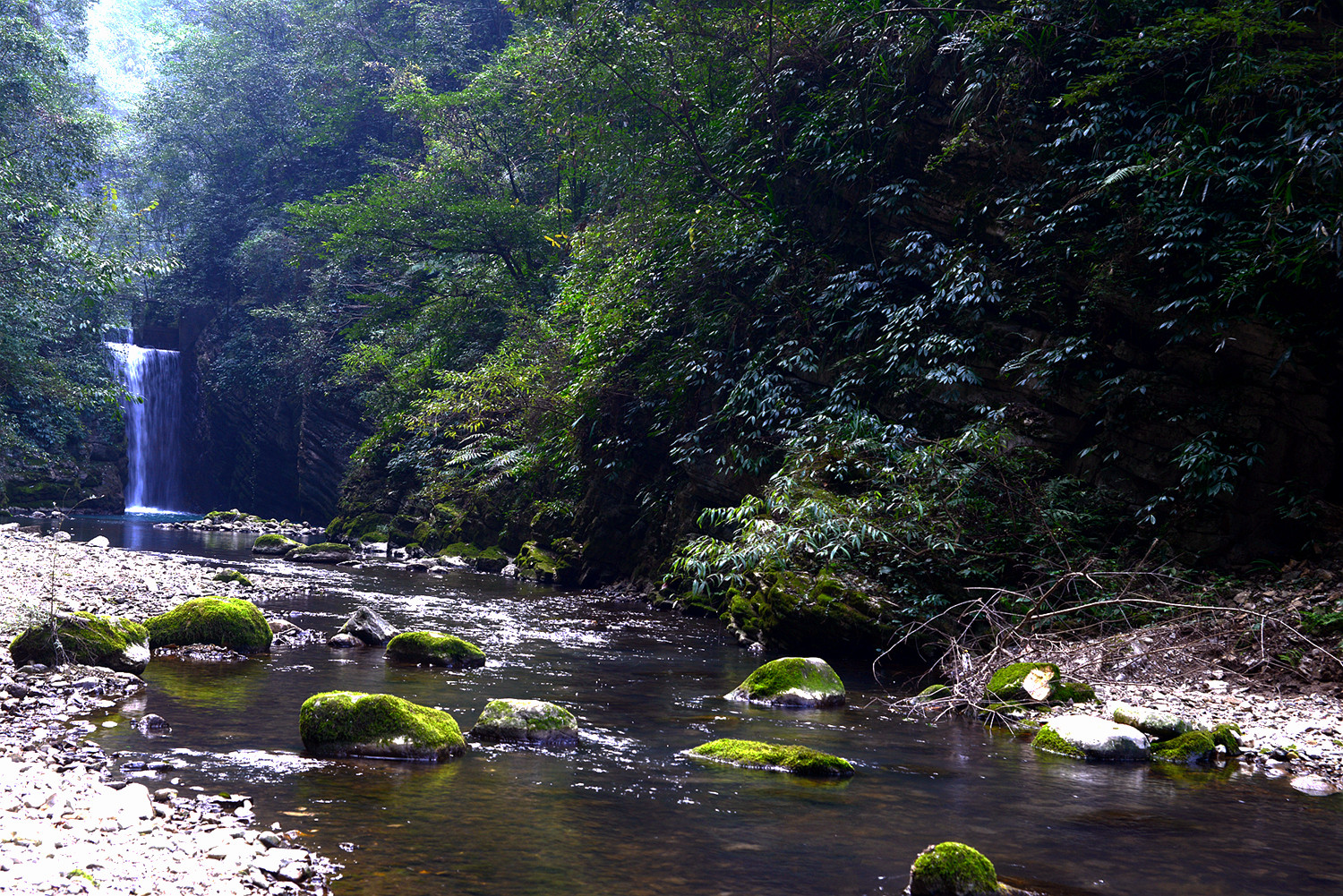 小溪流水