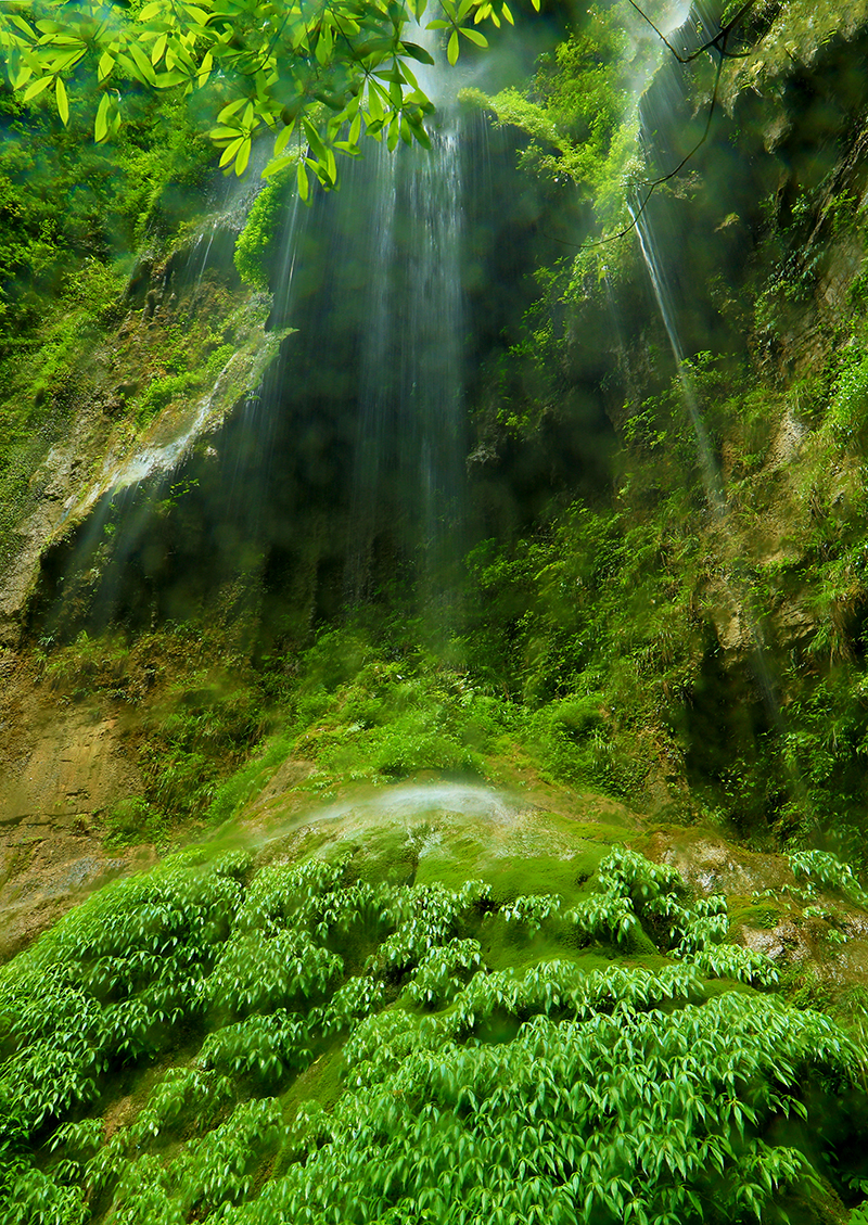 峡谷小绿洲