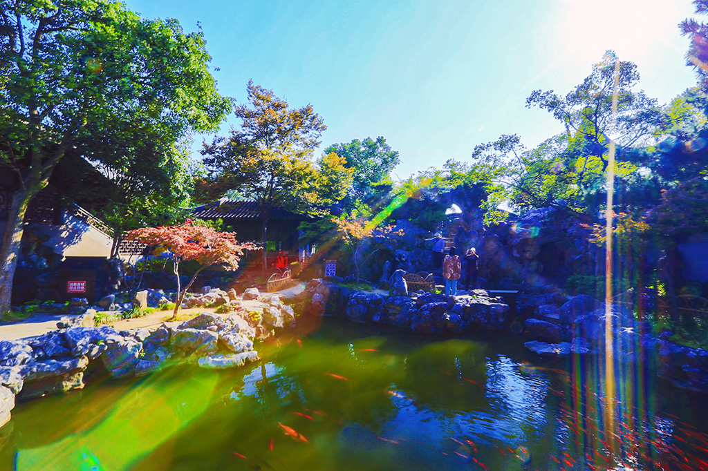 严家花园10