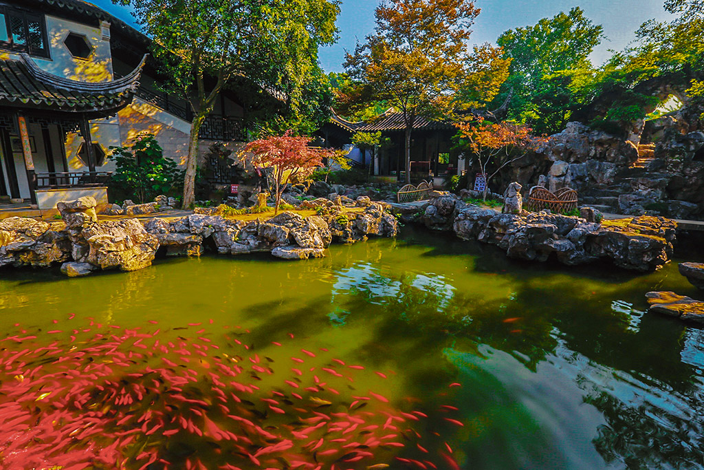 严家花园6