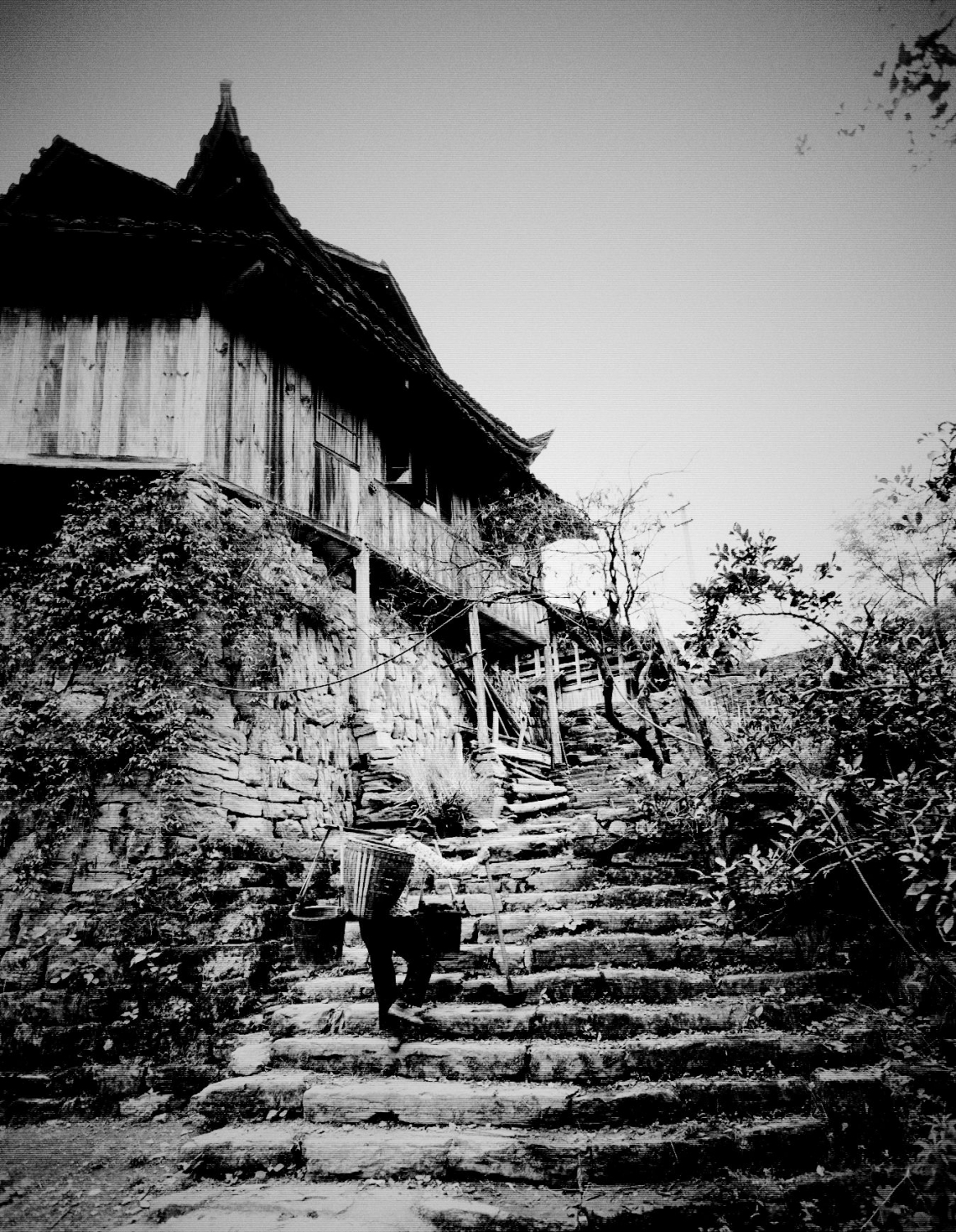 辛勤労作的畄守老人