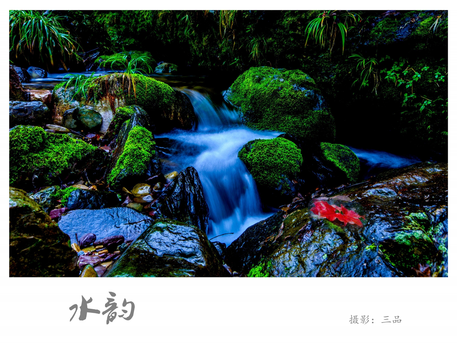 水韵1