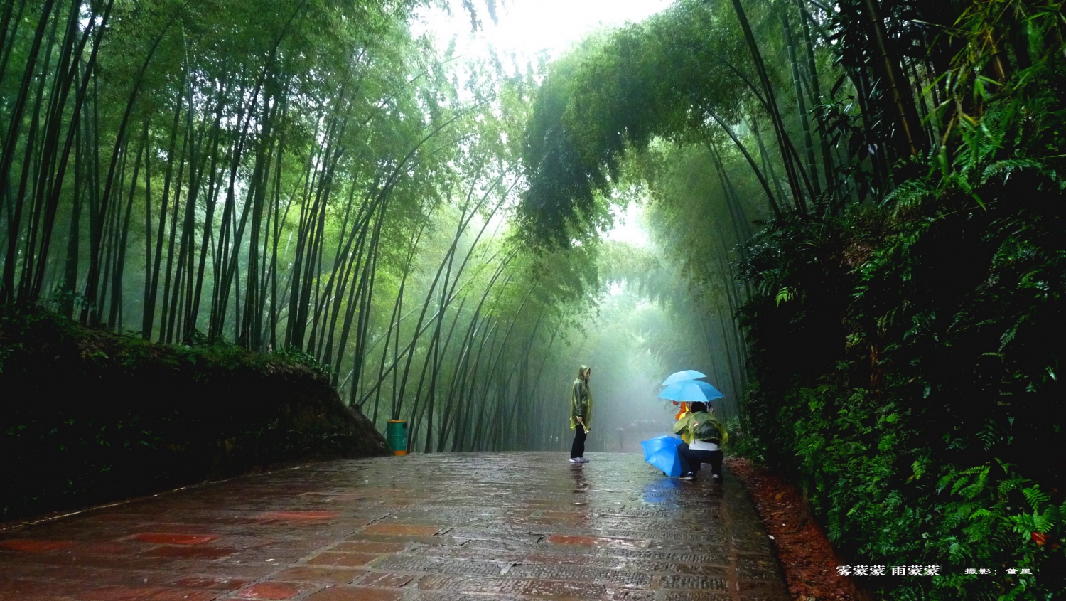 雾蒙蒙 雨蒙蒙