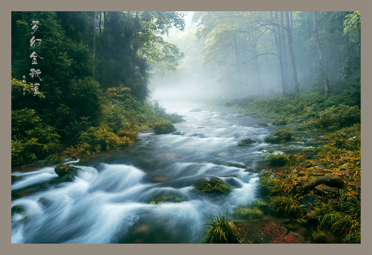 梦幻金鞭溪