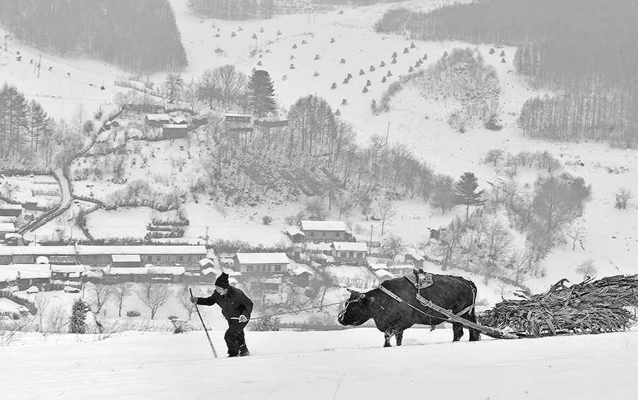 关东雪村。水墨松岭！
