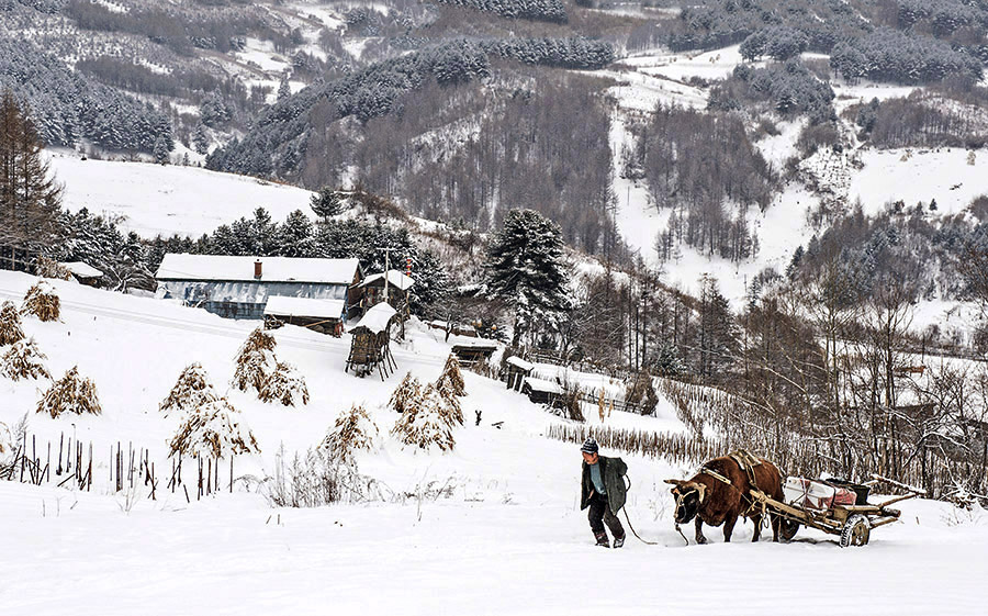 关东雪村。水墨松岭