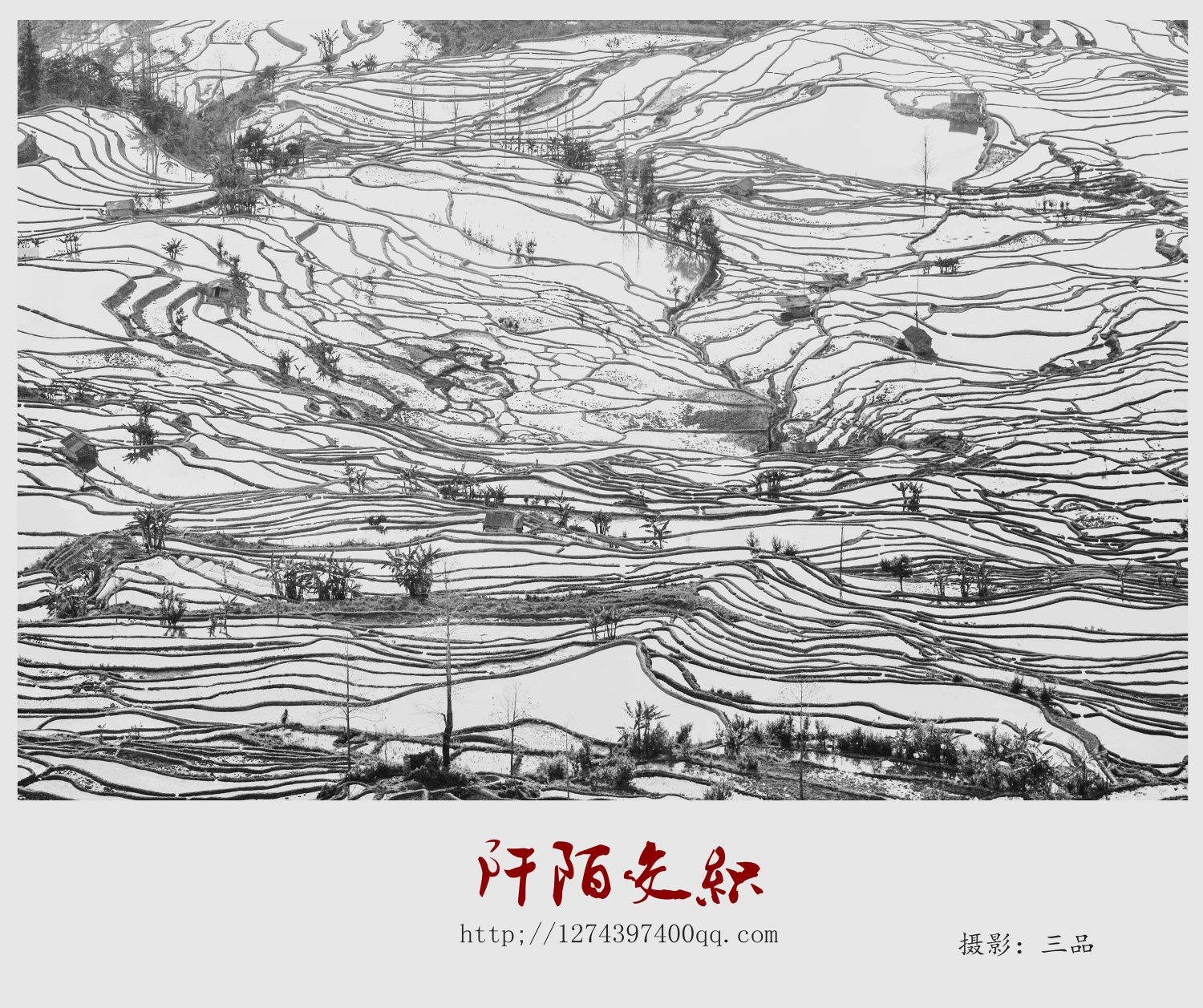 阡陌交织