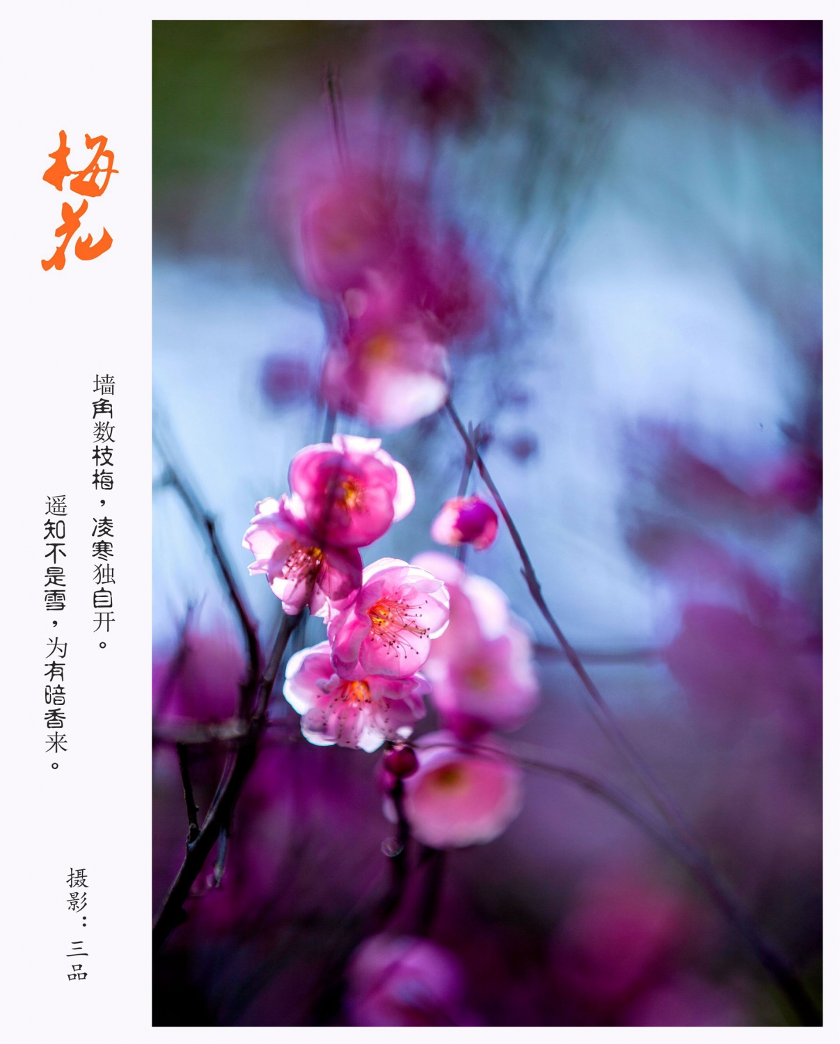 梅花