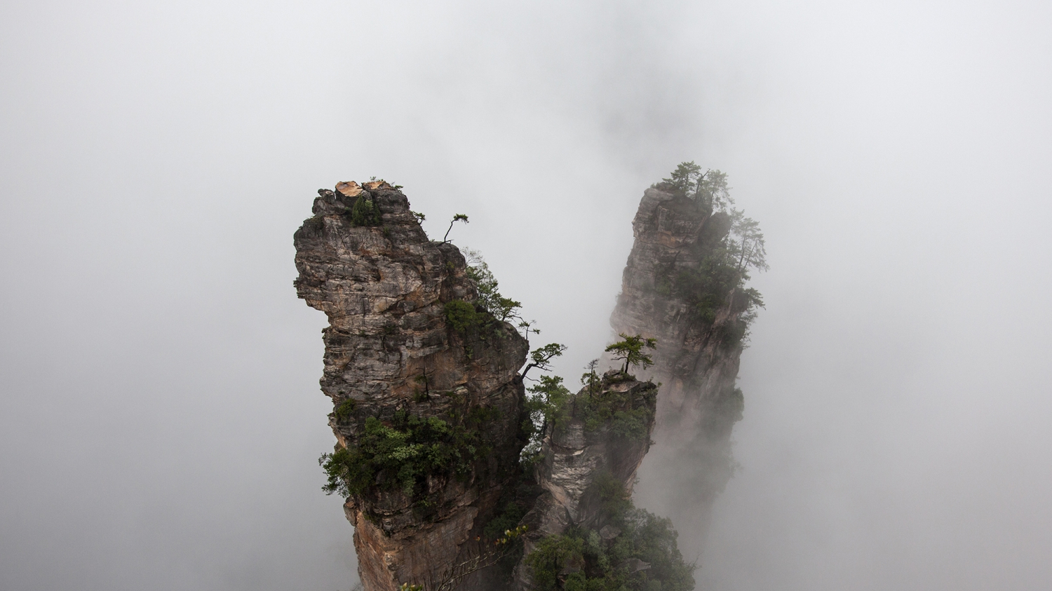 峰之巅