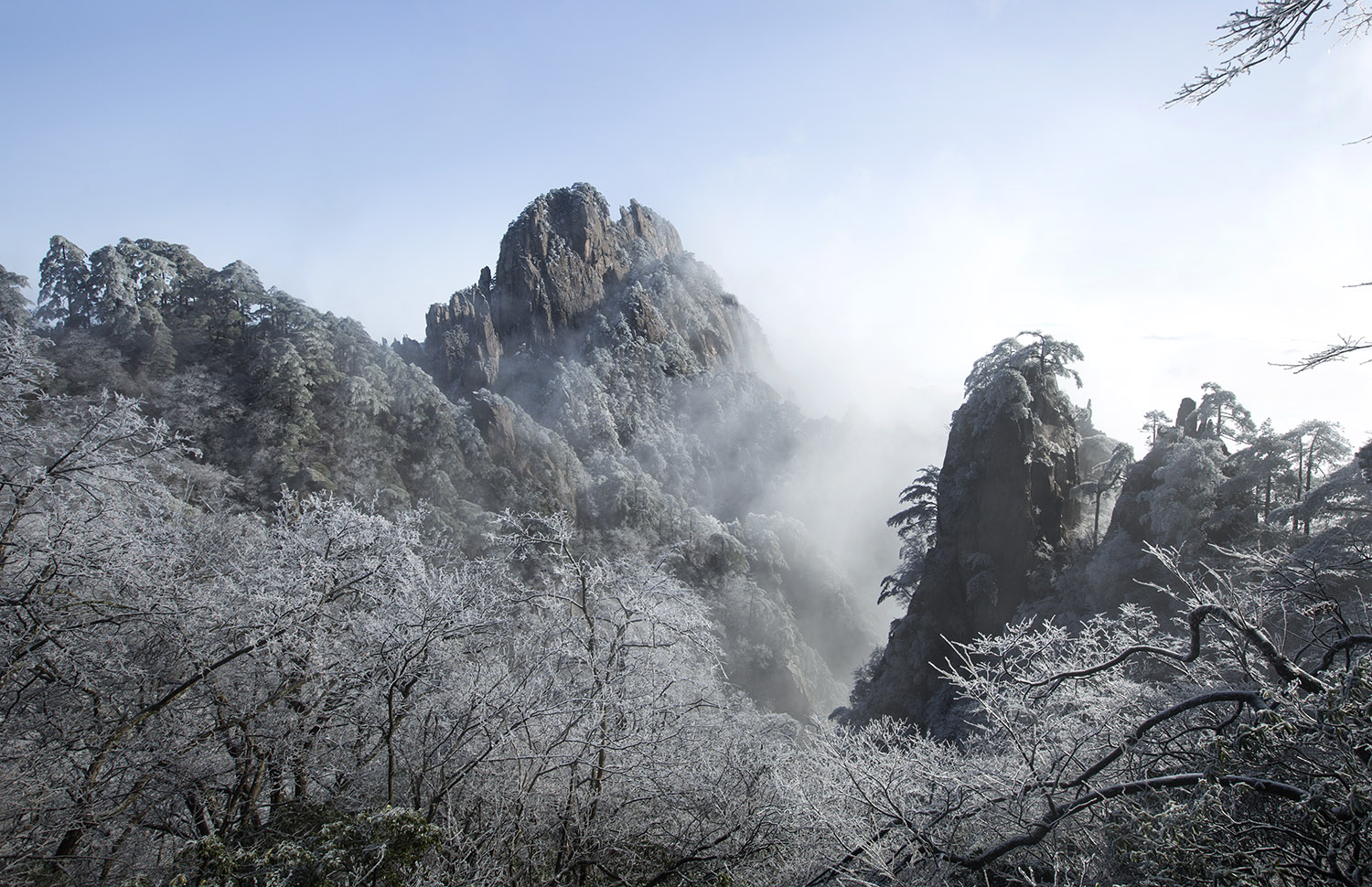 黄山雾凇