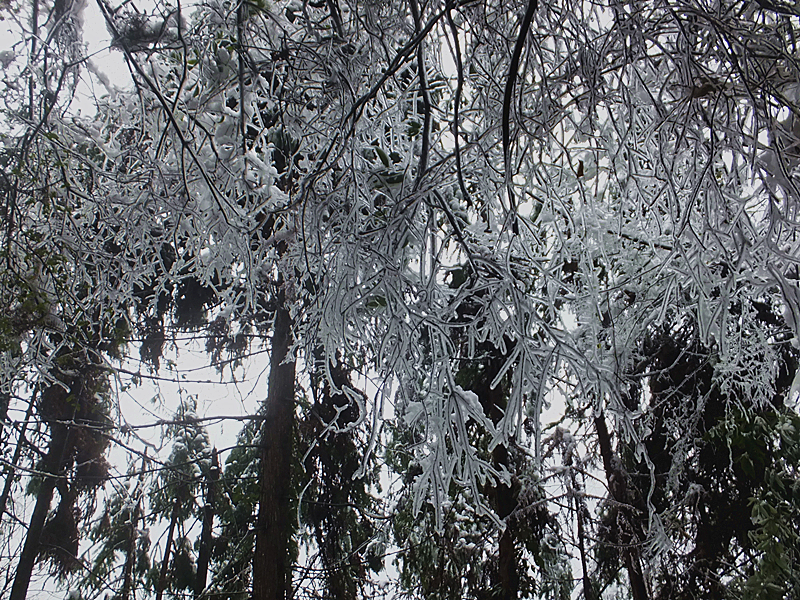 神鹰山春雪【一】