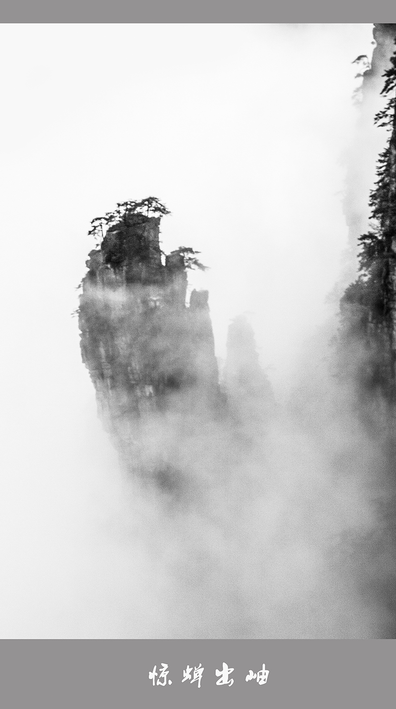 惊蝉出岫