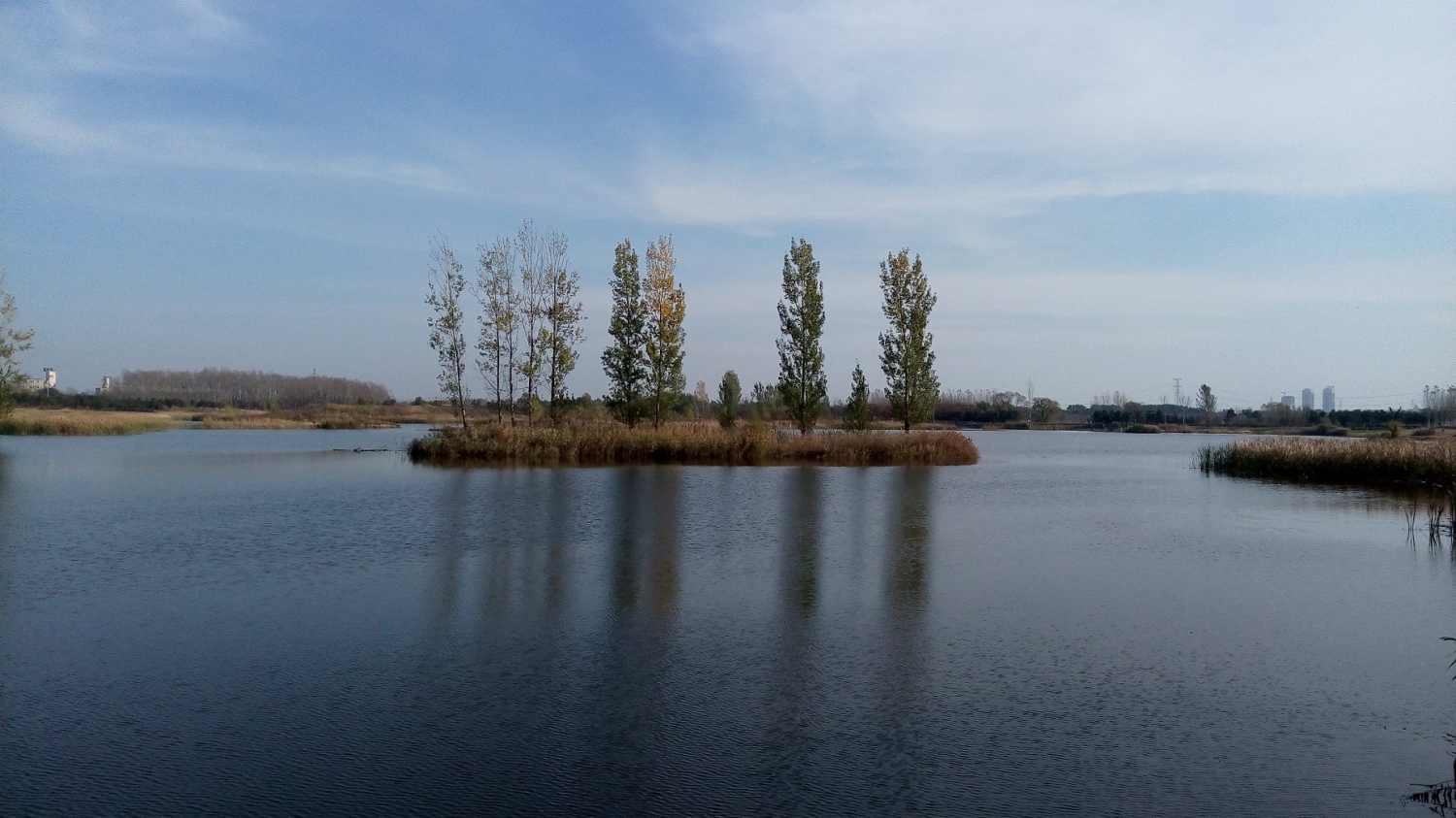 蒲河湿地