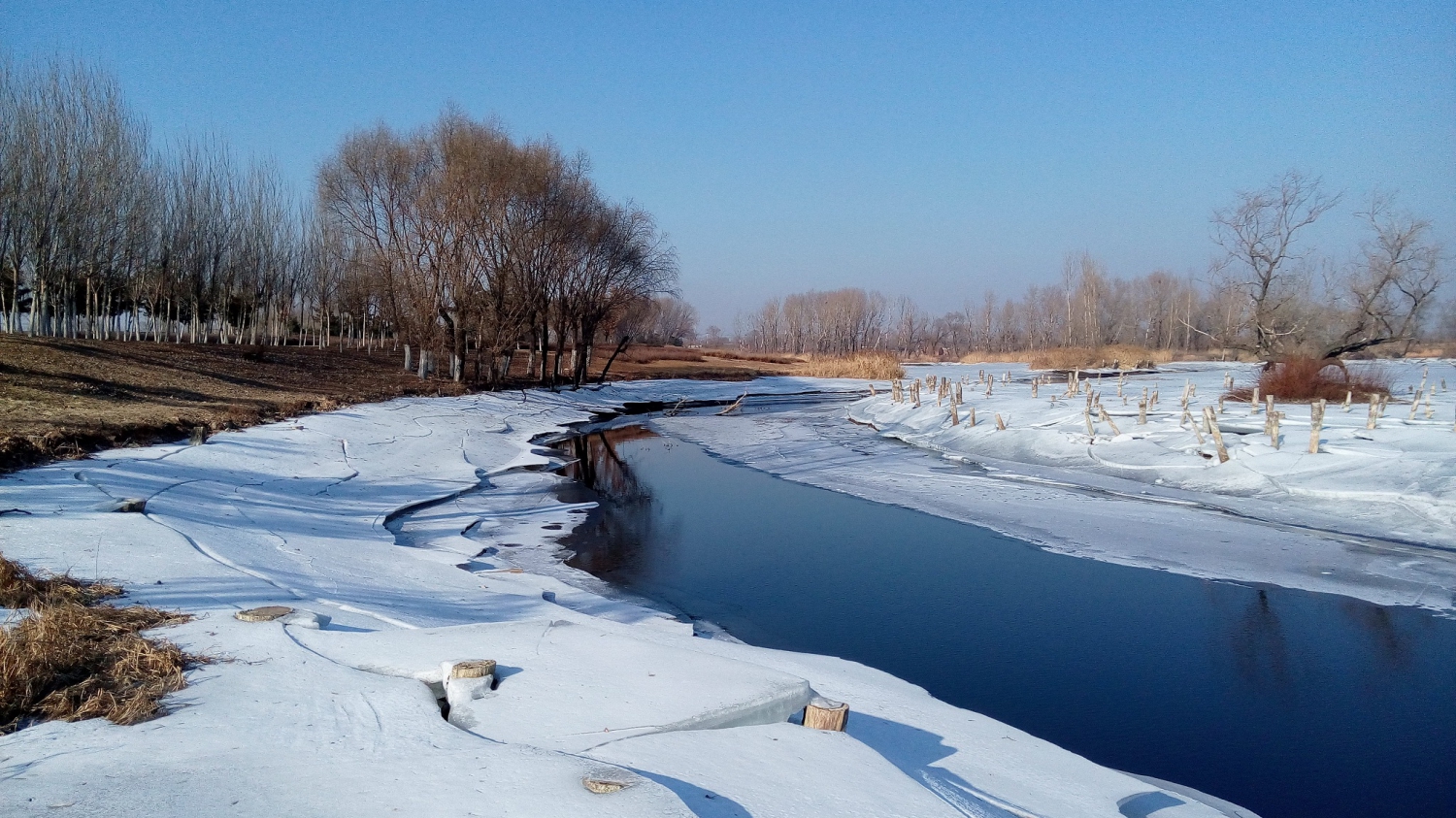 蒲河湿地冬季