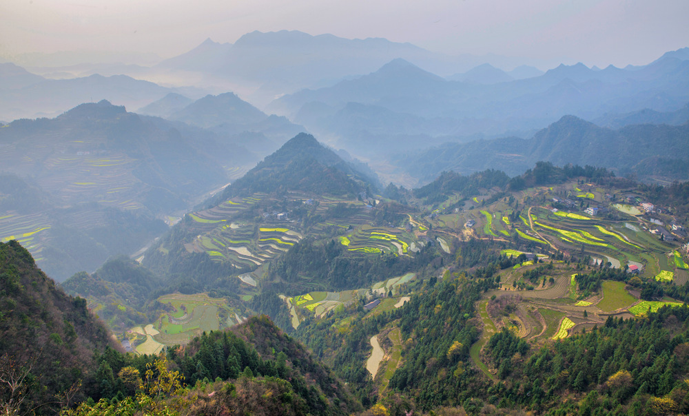 大山中的梯田