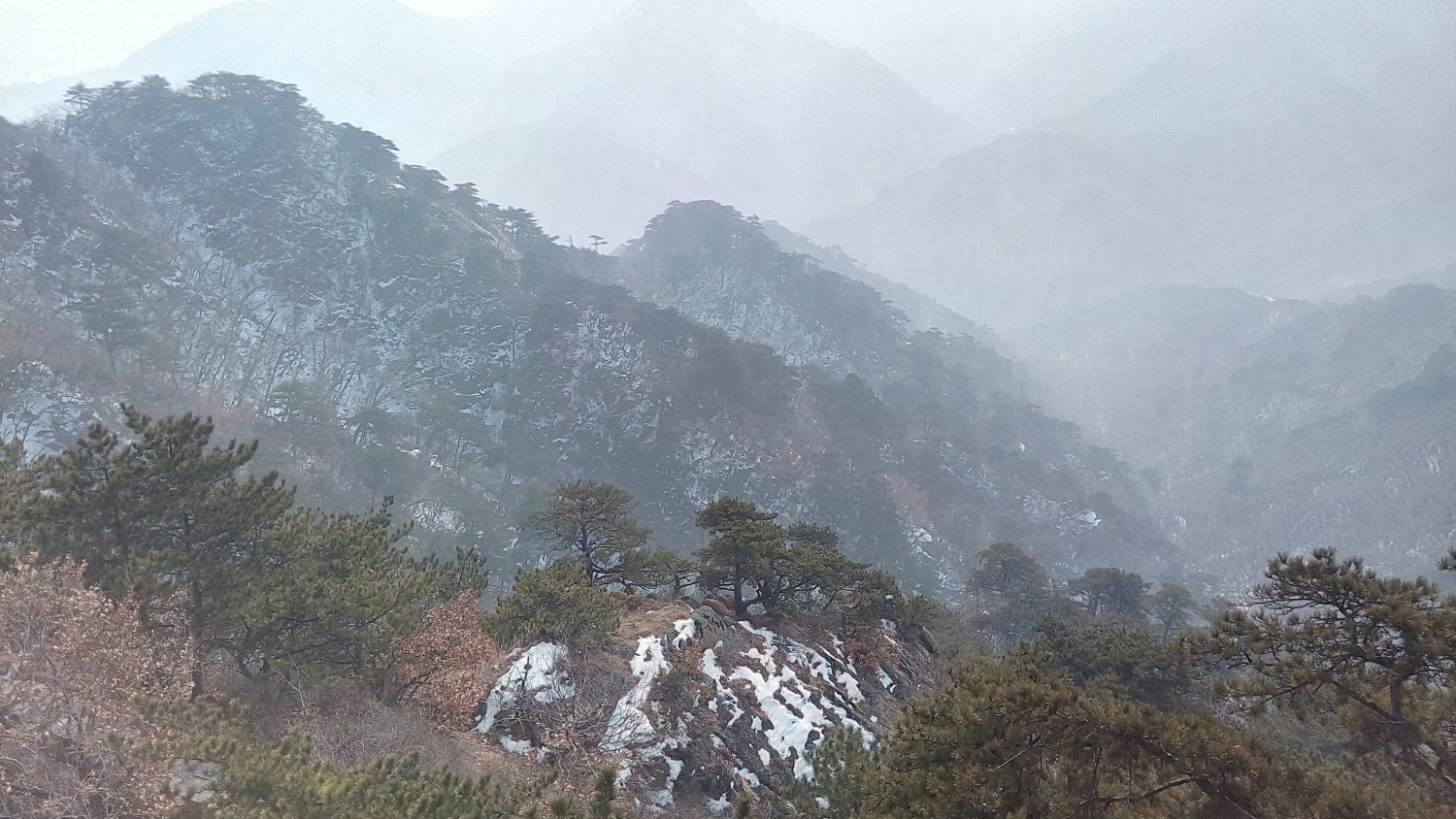 千山情