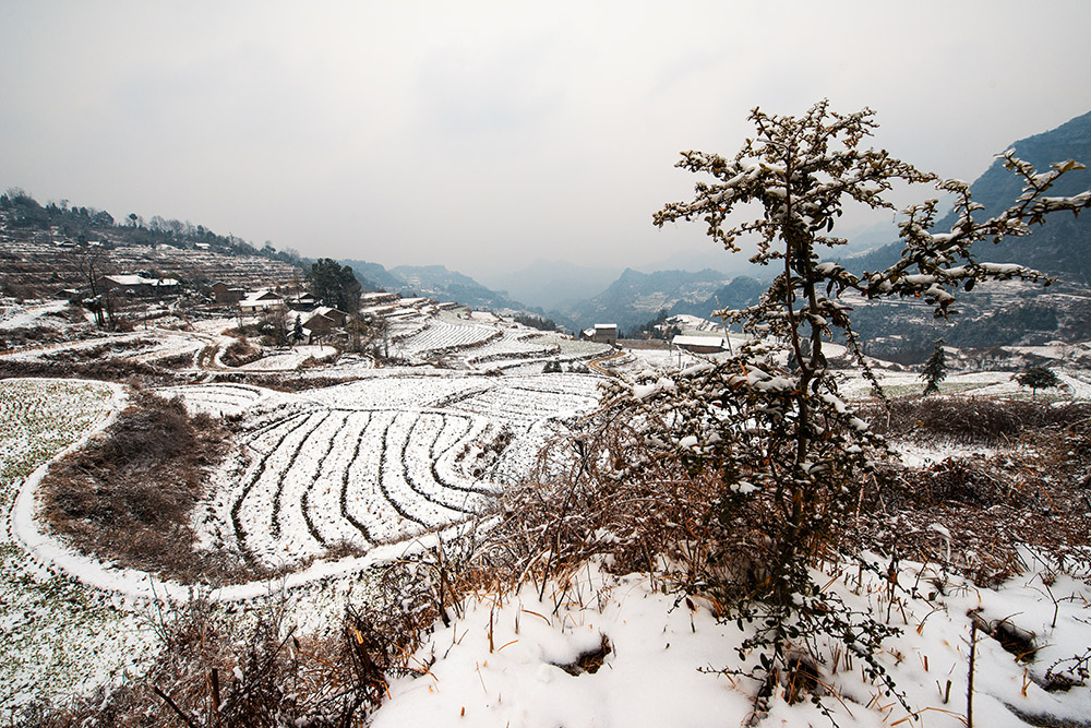 梯田雪景3