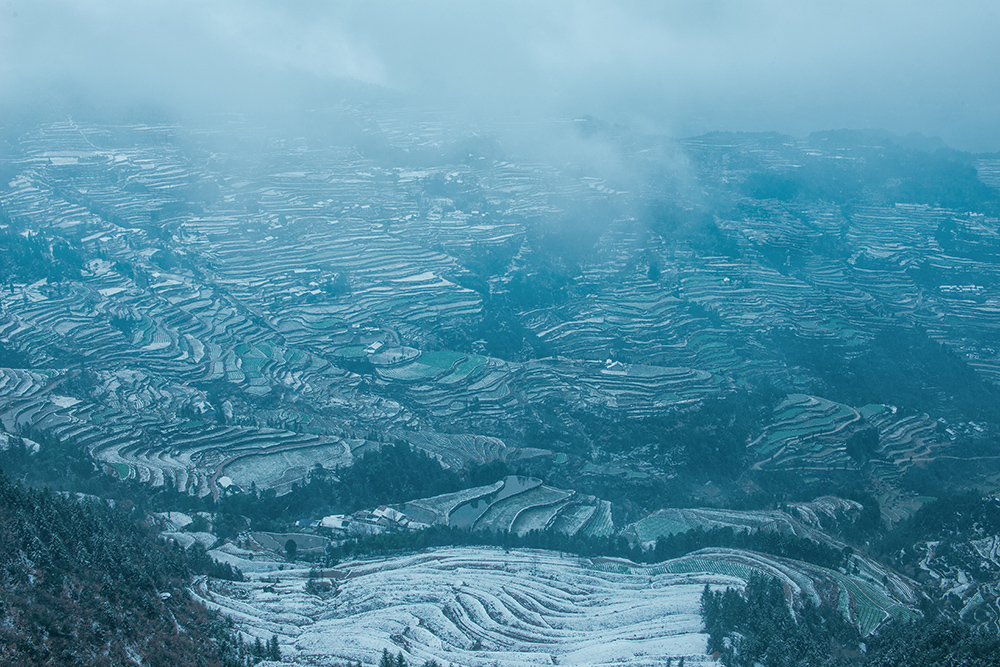 梯田冬雪