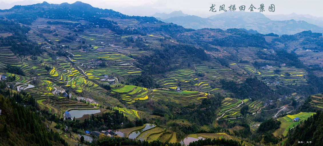 龙凤梯田全景
