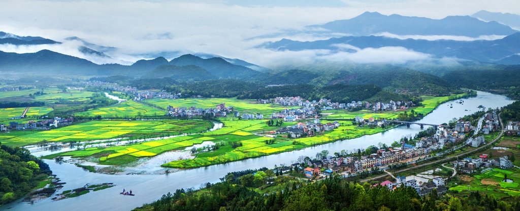 永新遍地金花开