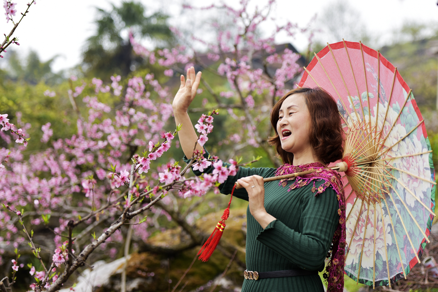 三月桃花相映红