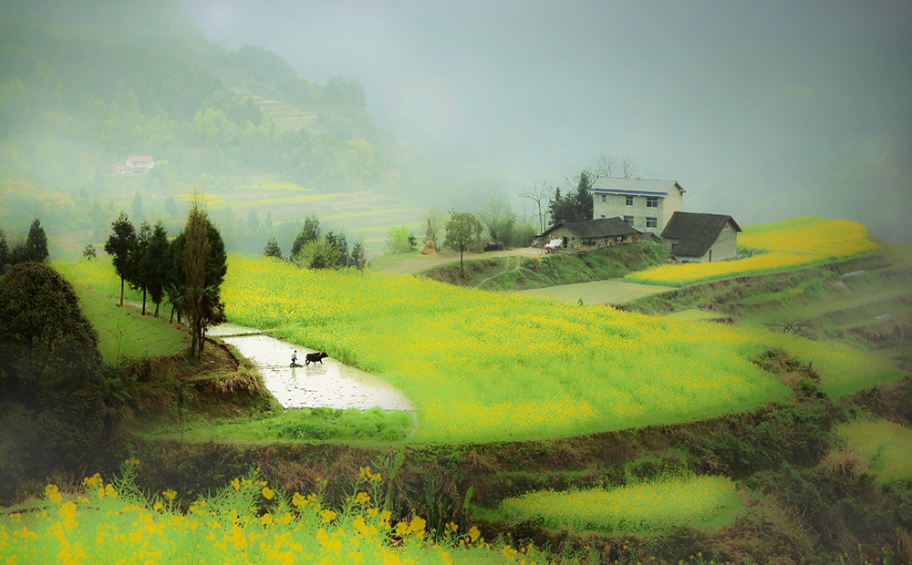 清明时节