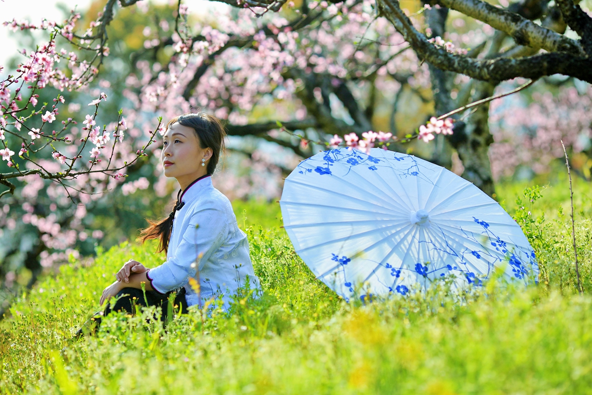 梦里桃源