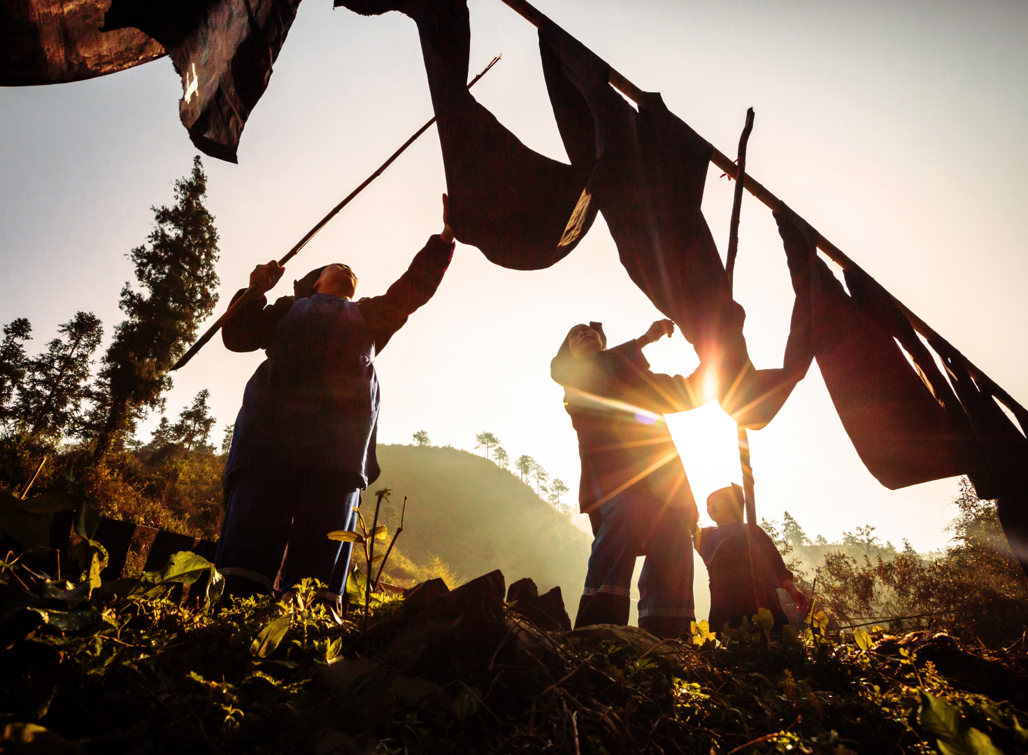 晨光晒向家织布